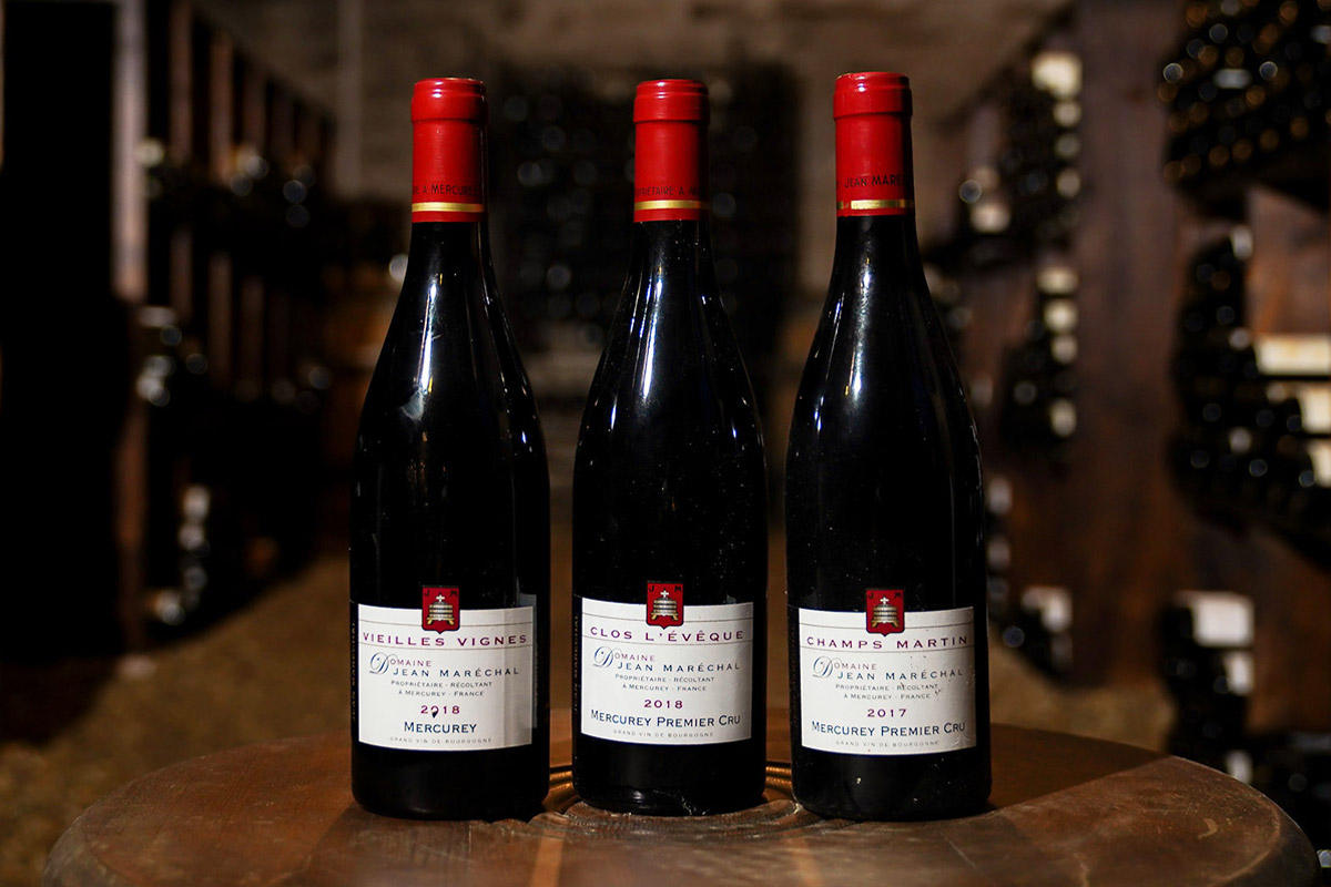 Cách đọc nhãn rượu vang Pháp nhanh và hiệu quả