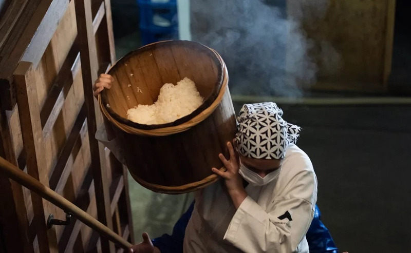 Nấu gạo Sake thành cơm