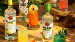 cách pha chế cocktail bacardi rum