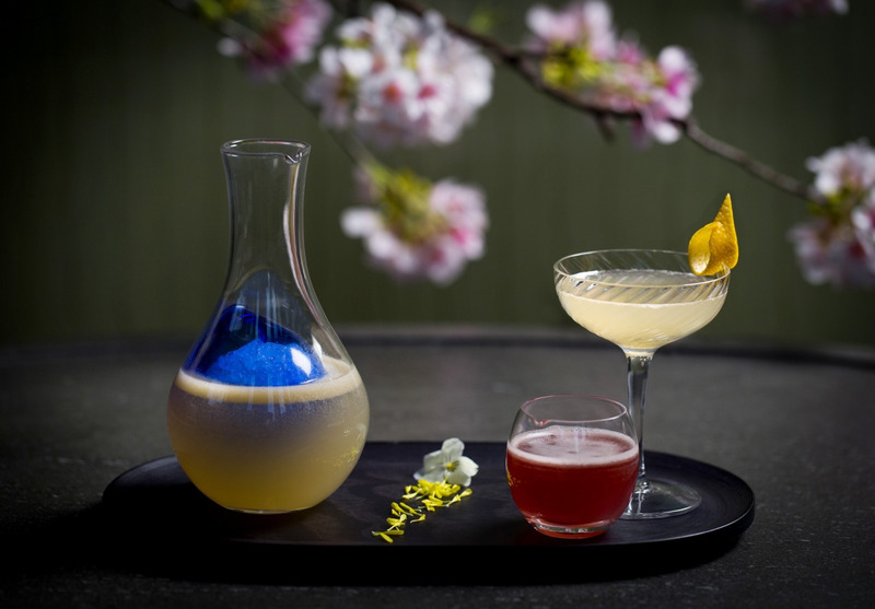 Cocktail rượu Sake
