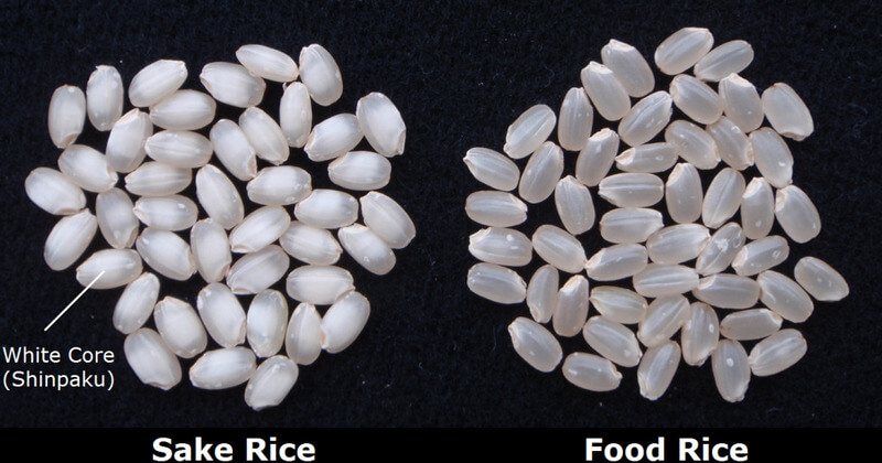 Gạo Sake và gạo ăn
