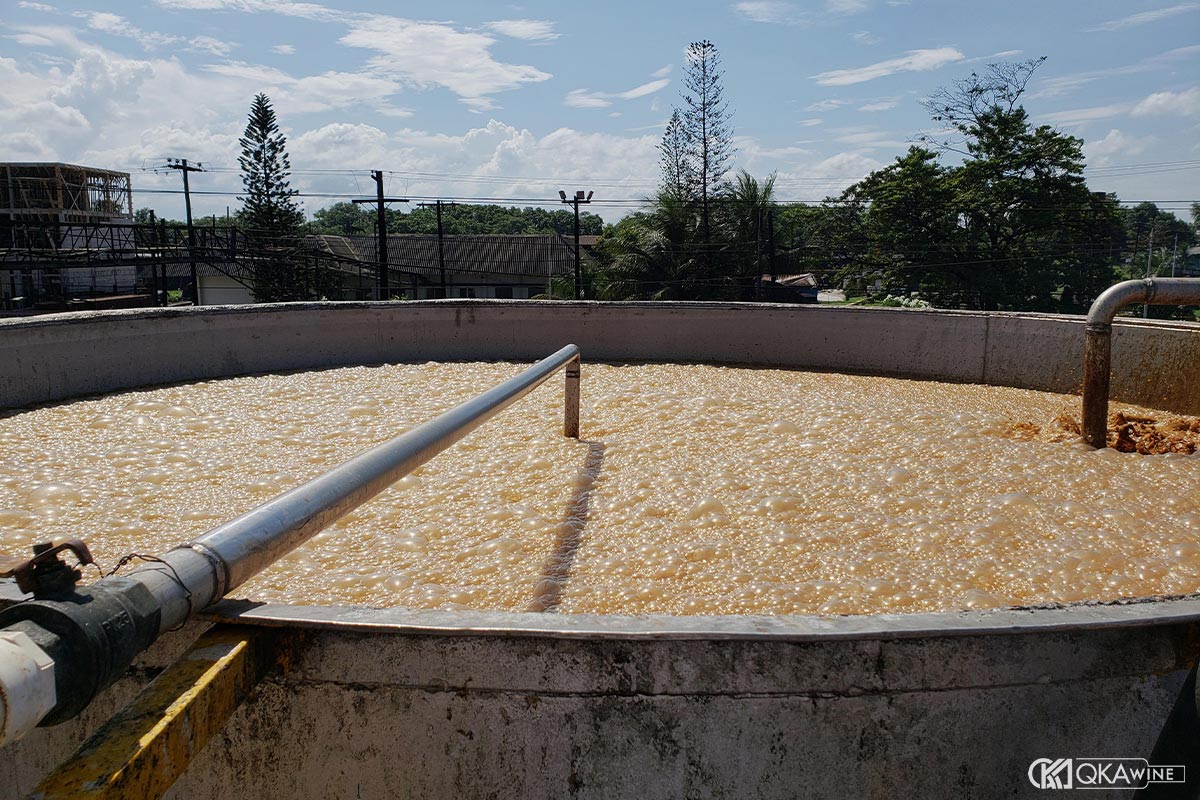 Lên men rượu Rum