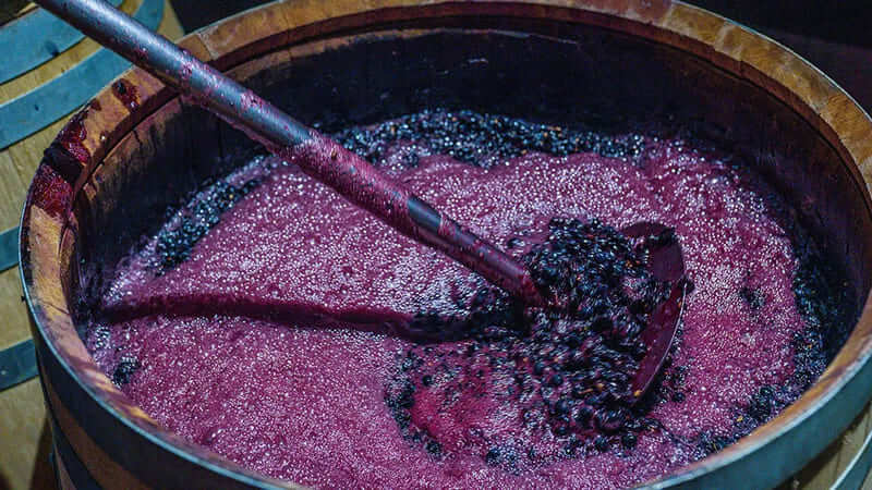 Quá trình lên men làm rượu vang hồng