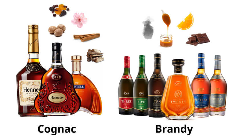 Những hương vị khác nhau của Cognac và Brandy