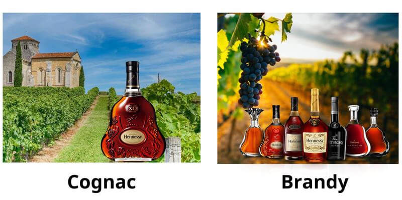 Nguồn gốc Cognac và Brandy