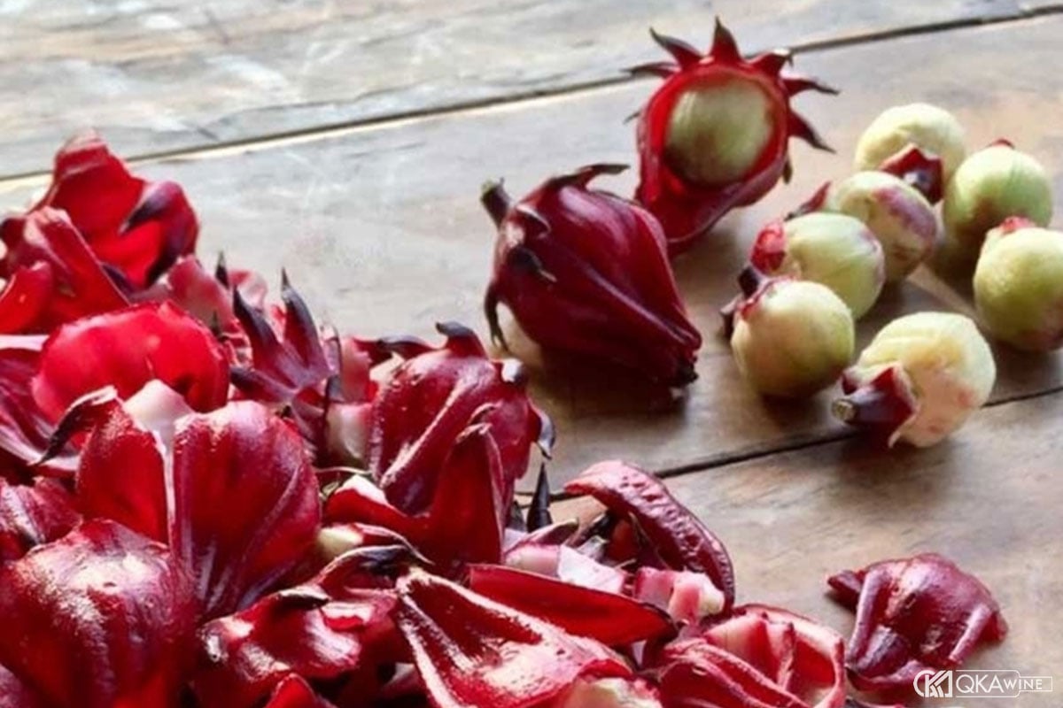 Cách ngâm rượu Atiso bằng hạt Atiso đỏ