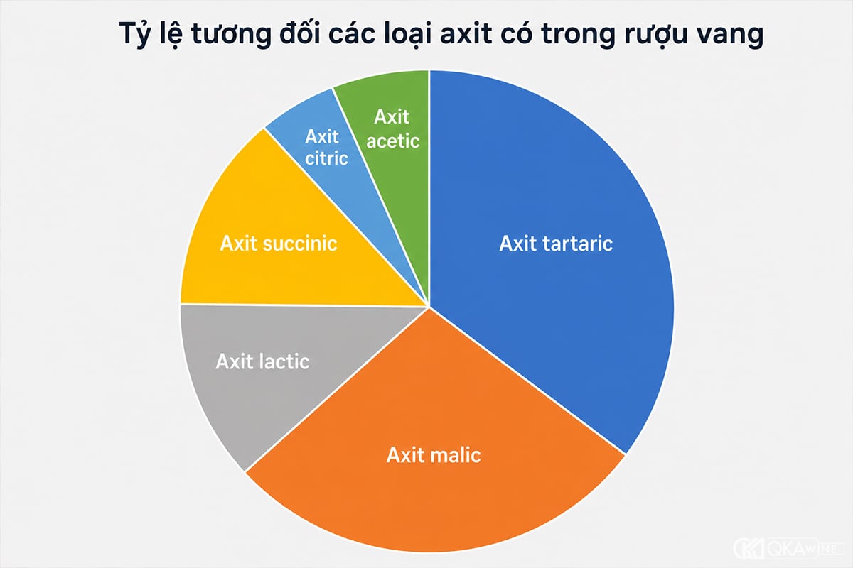 Những loại axit chính trong rượu vang