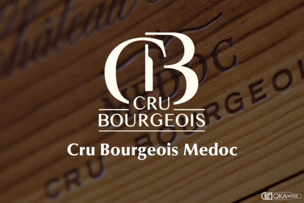 Phân hạng rượu vang Cru Bourgeois Medoc