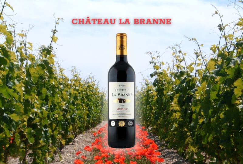 Rượu vang CHÂTEAU LA BRANNE