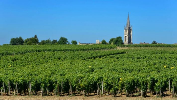 vùng làm vang Pomerol