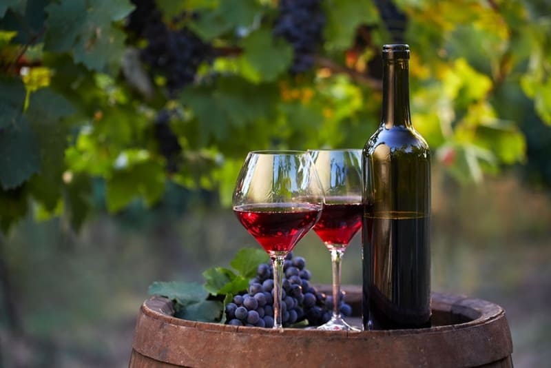 Rượu vang Viesta mang hương vị đặc trưng của nho Cabernet Sauvignon