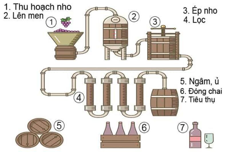 Quy trình sản xuất rượu vang Viesta tiêu chuẩn