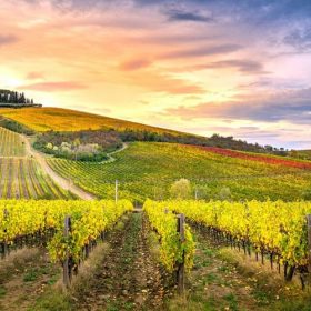 Vùng làm vang Tuscany