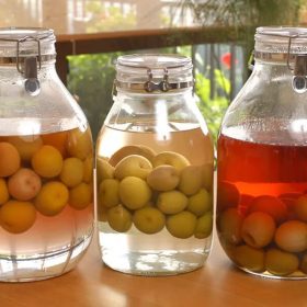 các loại hoa quả ngâm rượu