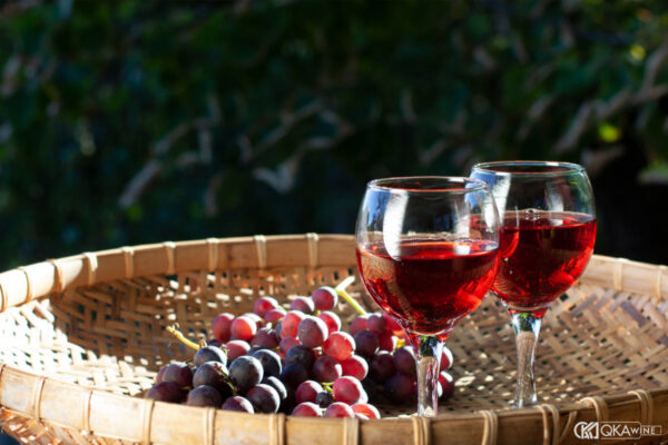 Top 15+ các loại hoa quả ngâm rượu tốt nhất hiện nay