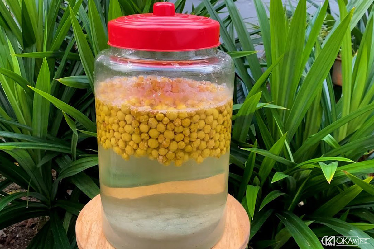 Chùm ruột ngâm rượu