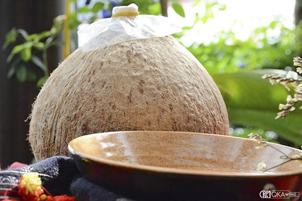 Dừa ngâm rượu