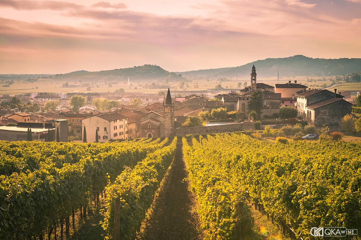 Lịch sử rượu vang vùng Veneto