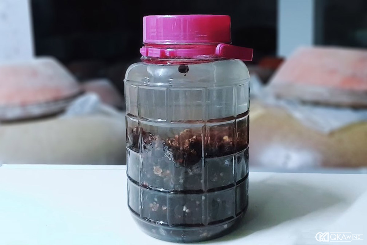 Sim tím ngâm rượu