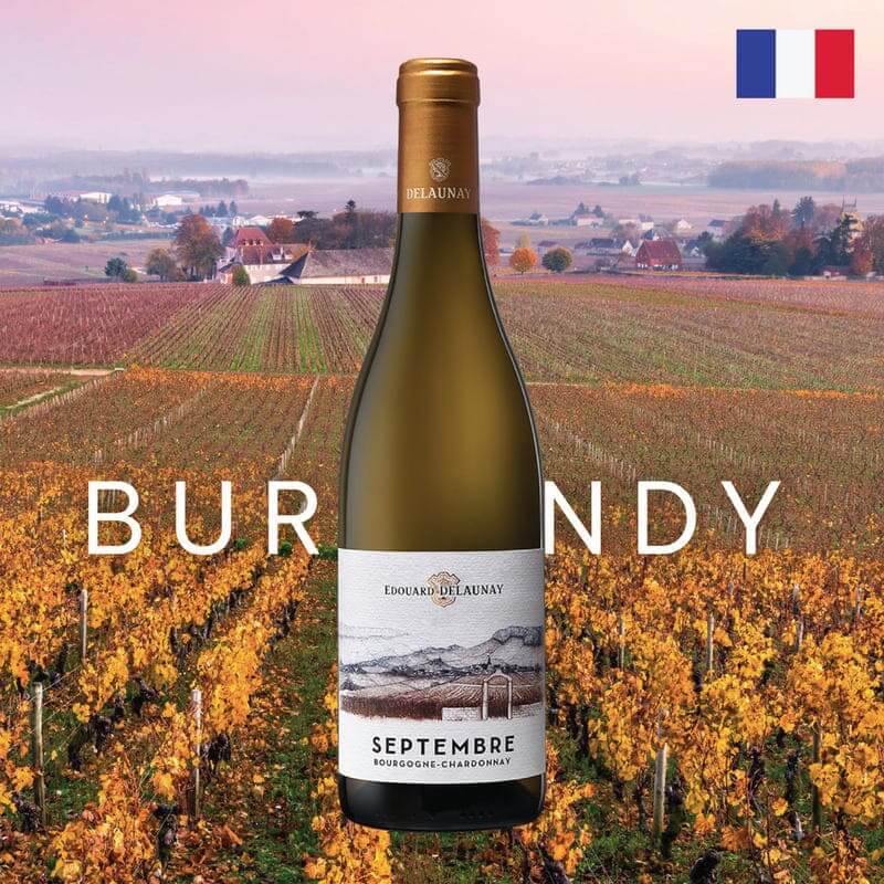 Vang Chardonnay đến từ xứ sở Burgundy, Pháp