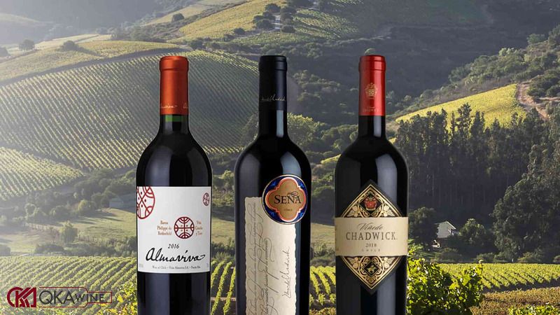 Rượu vang đỏ vùng Aconcagua
