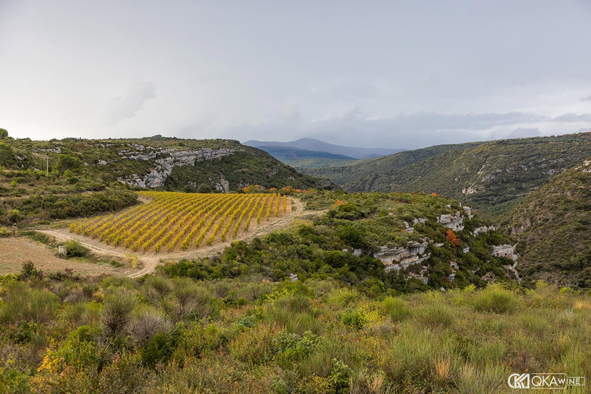 Khí hậu và thổ nhưỡng vùng Languedoc-Roussillon