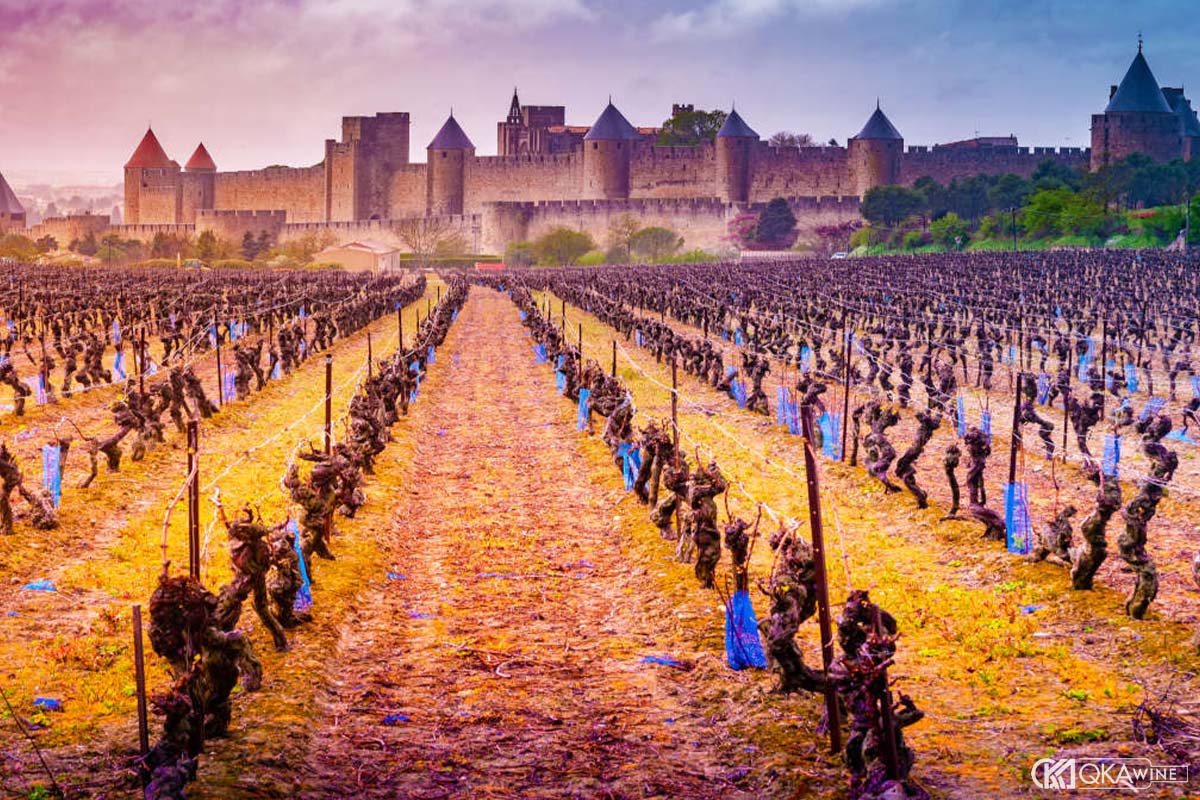 Lịch sử vùng vang Languedoc-Roussillon