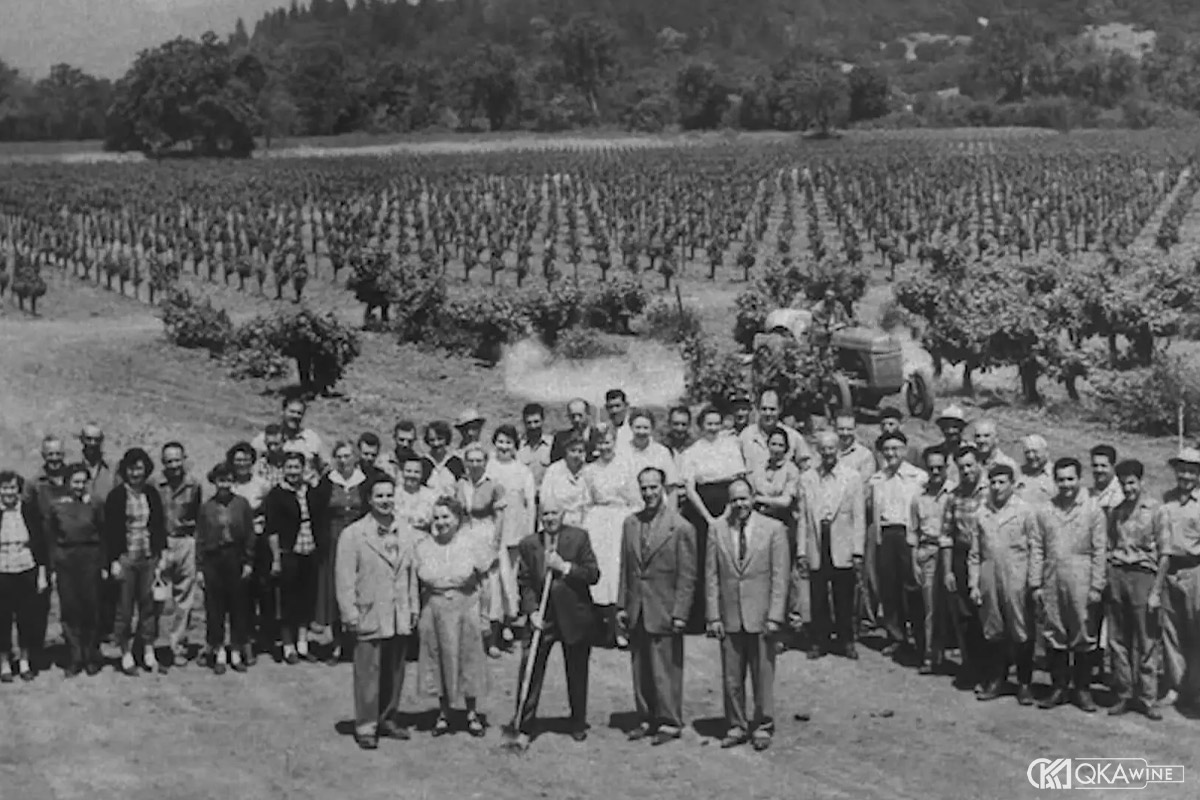 Lịch sử vùng vang Napa Valley