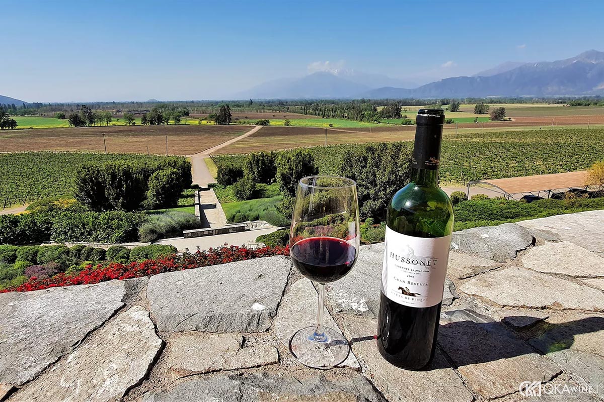 Phong cách rượu vang tại thung lũng Aconcagua