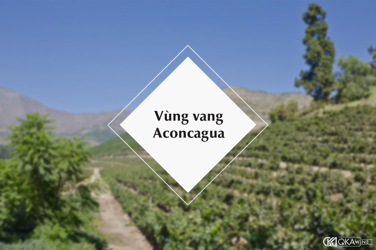 Vùng vang Aconcagua