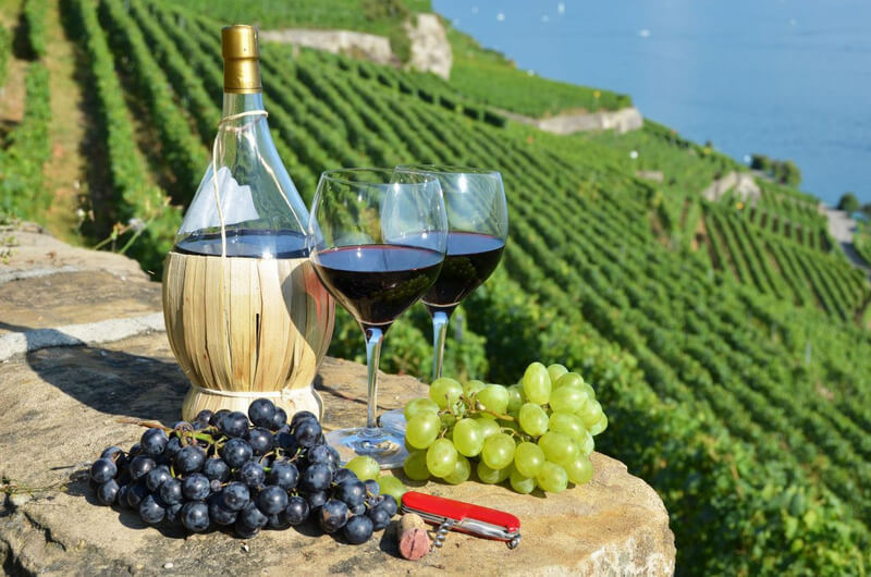 Rượu vang Ý nổi tiếng