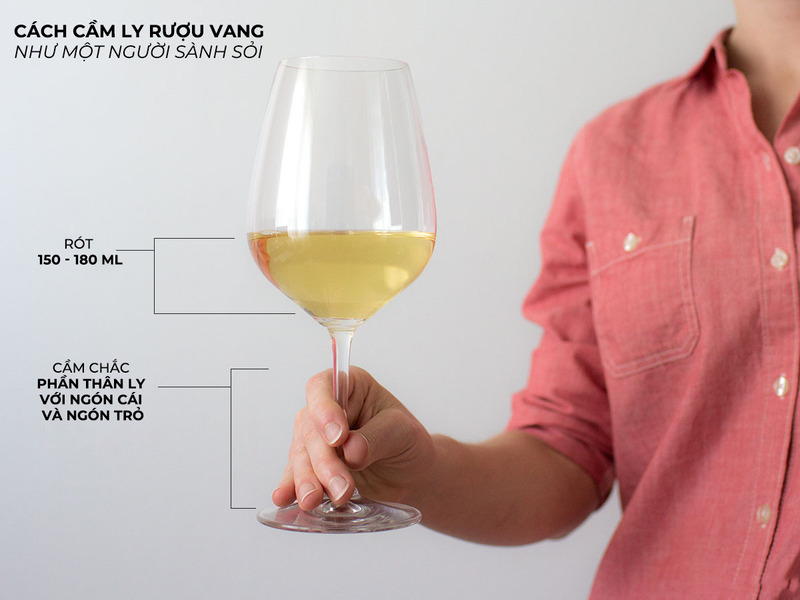 Cách cầm ly uống rượu vang đúng