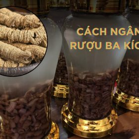 cách ngâm rượu ba kích