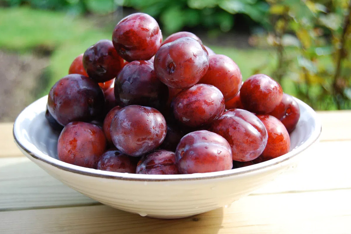 Nguyên liệu và tỷ lệ ngâm rượu mận