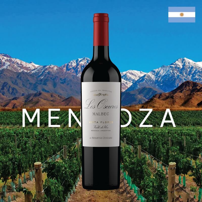 Malbec ở Mendoza, Argentina