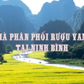 Nhà phân phối rượu vang ở Ninh Bình