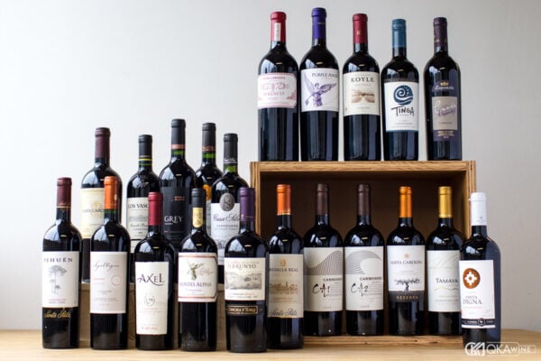 Rượu vang Chile có hạn sử dụng không?