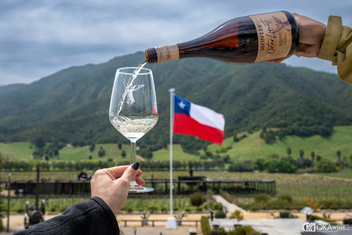 Rượu vang Chile đã mở để được bao lâu?