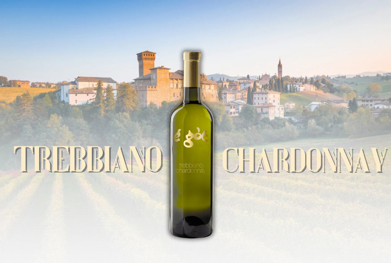 Rượu vang E Got Trebbiano Chardonnay Rubicone