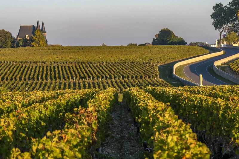 Landes du Médoc