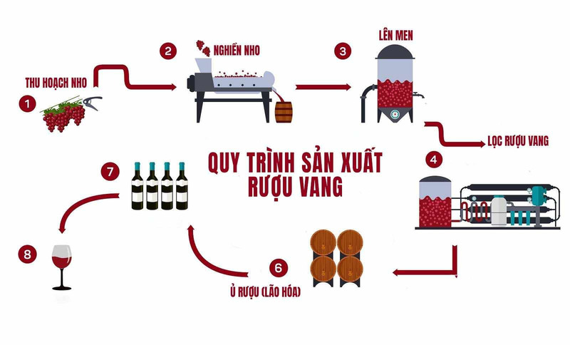 Quy trình sản xuất rượu vang Viognier