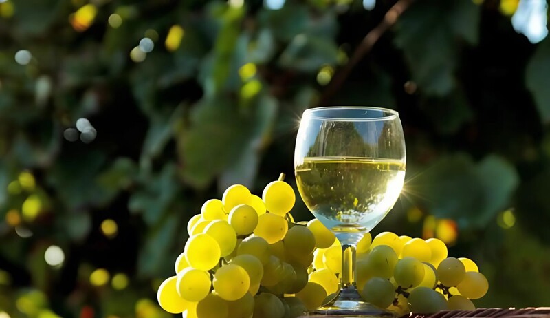 Sauvignon Blanc là rượu vang ngọt hay rượu khô
