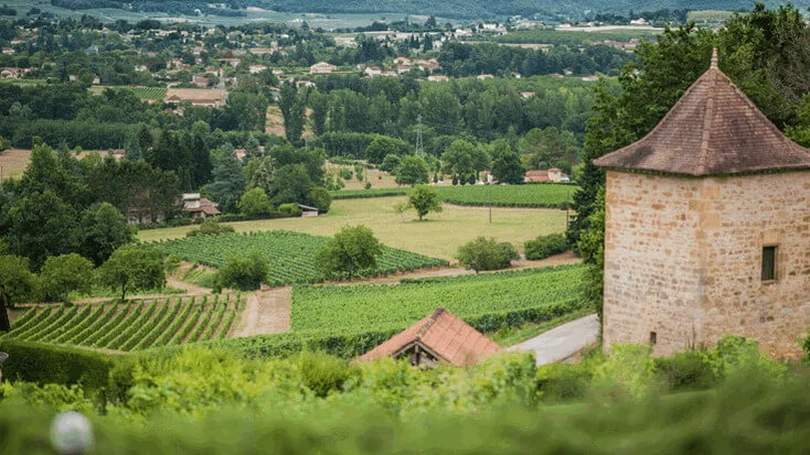 Lịch sử phát triển vùng làm vang Cahors