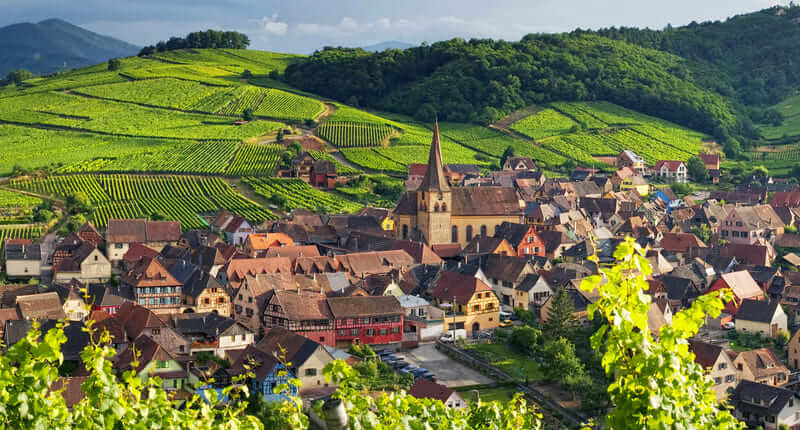 Đôi nét về vùng làm vang Alsace