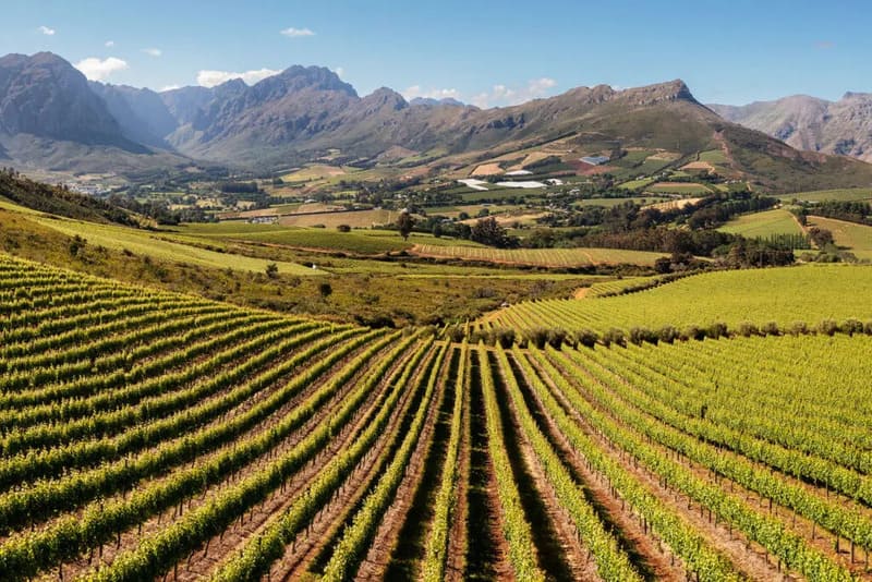 Vùng làm vang Stellenbosch ở Coastal Region