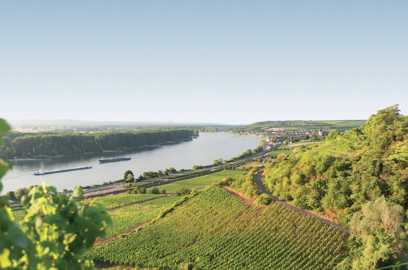 Vùng Rheinhessen nằm bên cạnh dòng sông Rhine