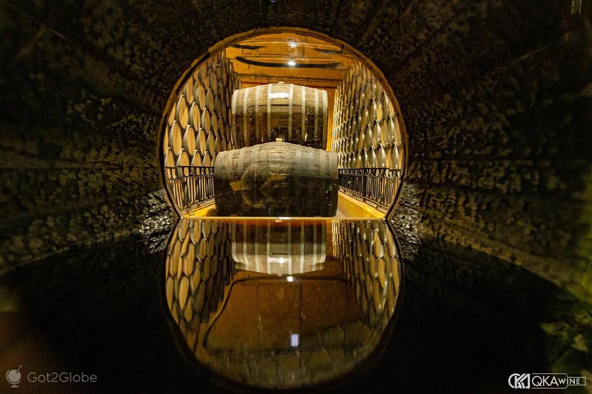 Phân loại Tequila theo nguyên liệu đường lên men