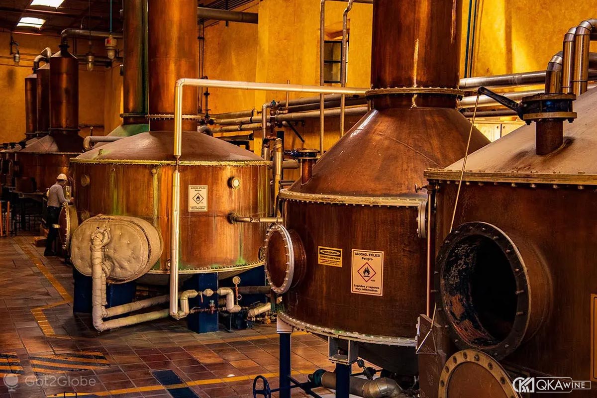 Phân loại Tequila theo thời gian ủ và đặc tính hương vị