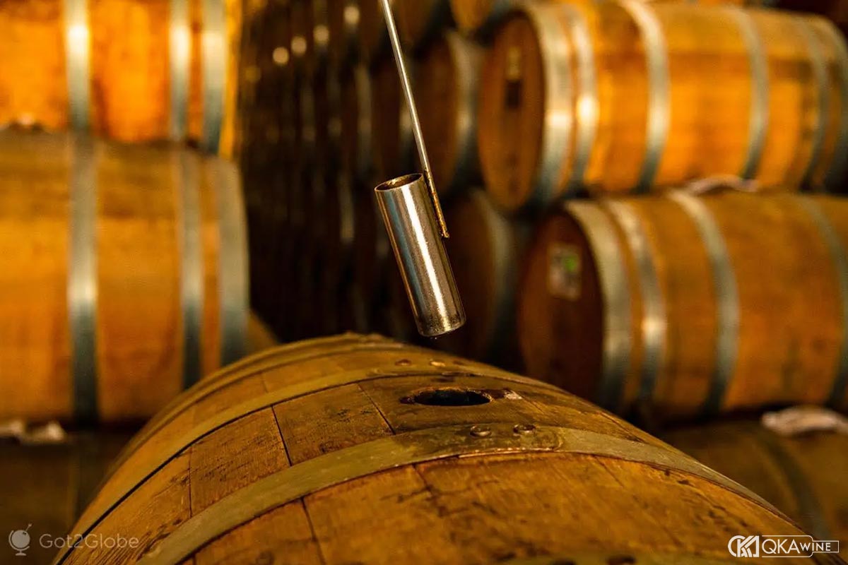 Quy trình sản xuất rượu Tequila theo chuẩn quốc tế