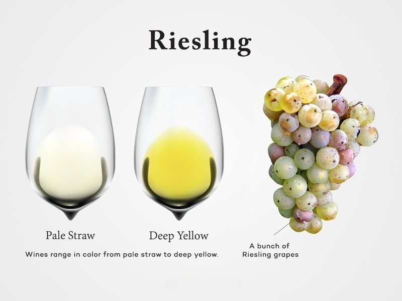 Đặc điểm đặc trưng rượu vang nho Riesling của vùng Mosel